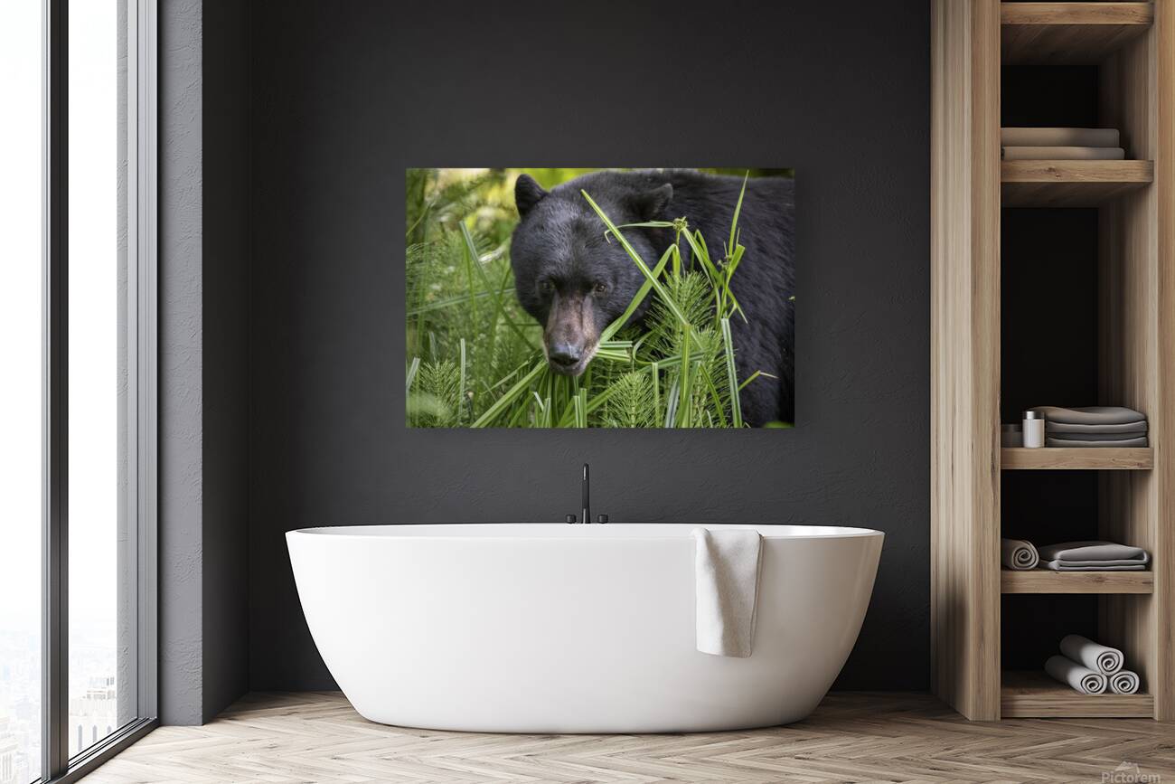 Emma Menchions Reproduction