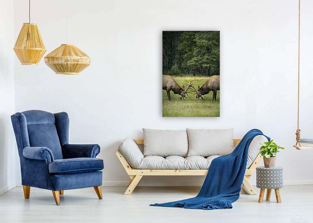 Emma Menchions Reproduction