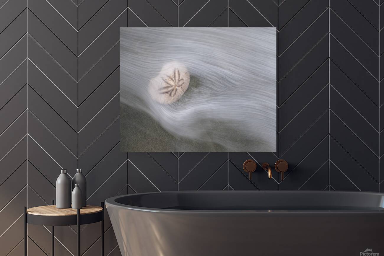 Viktoria Haack Reproduction