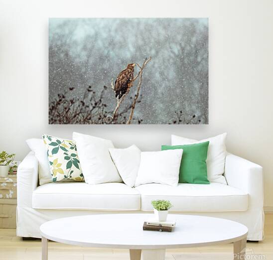 Beatrice Vu Reproduction