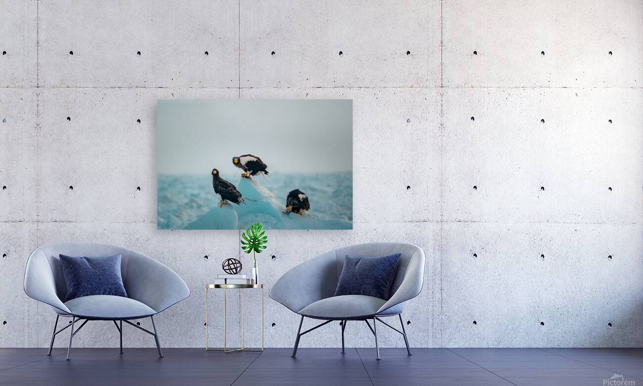 Beatrice Vu Reproduction