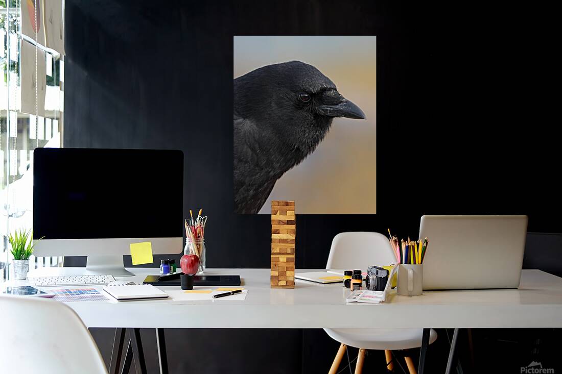 Justin Taus Reproduction