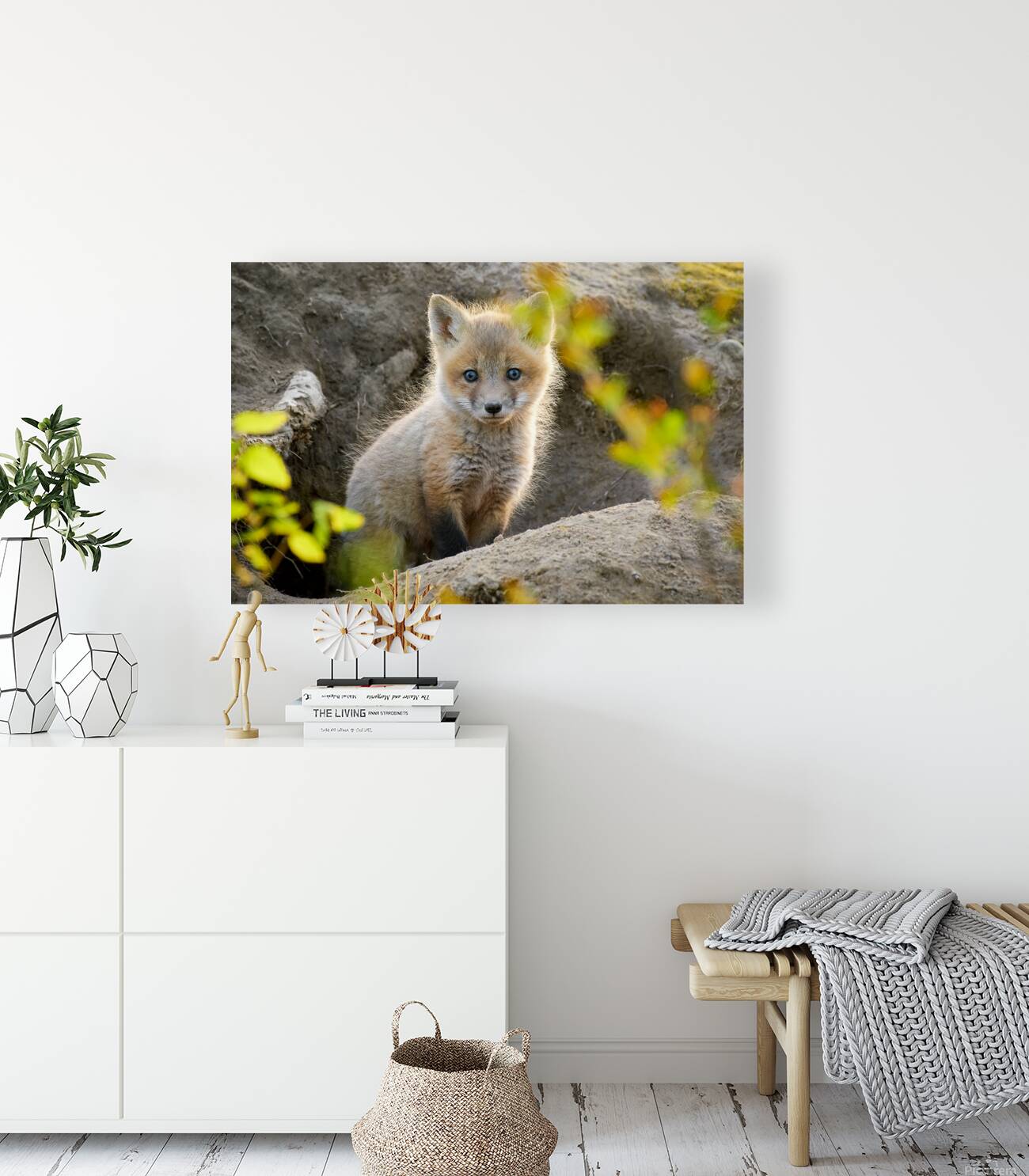 Justin Taus Reproduction