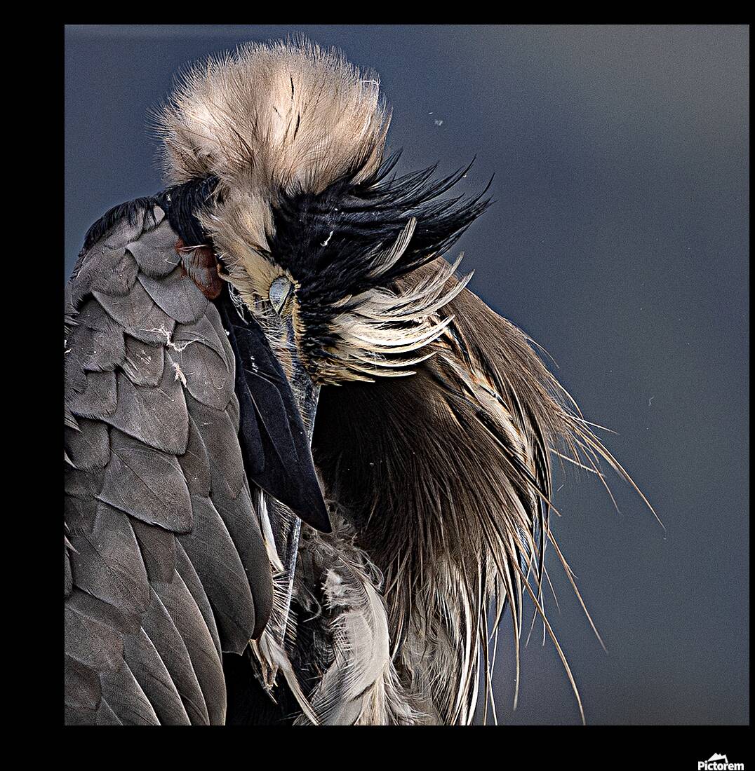 Jacquie Matechuk Reproduction