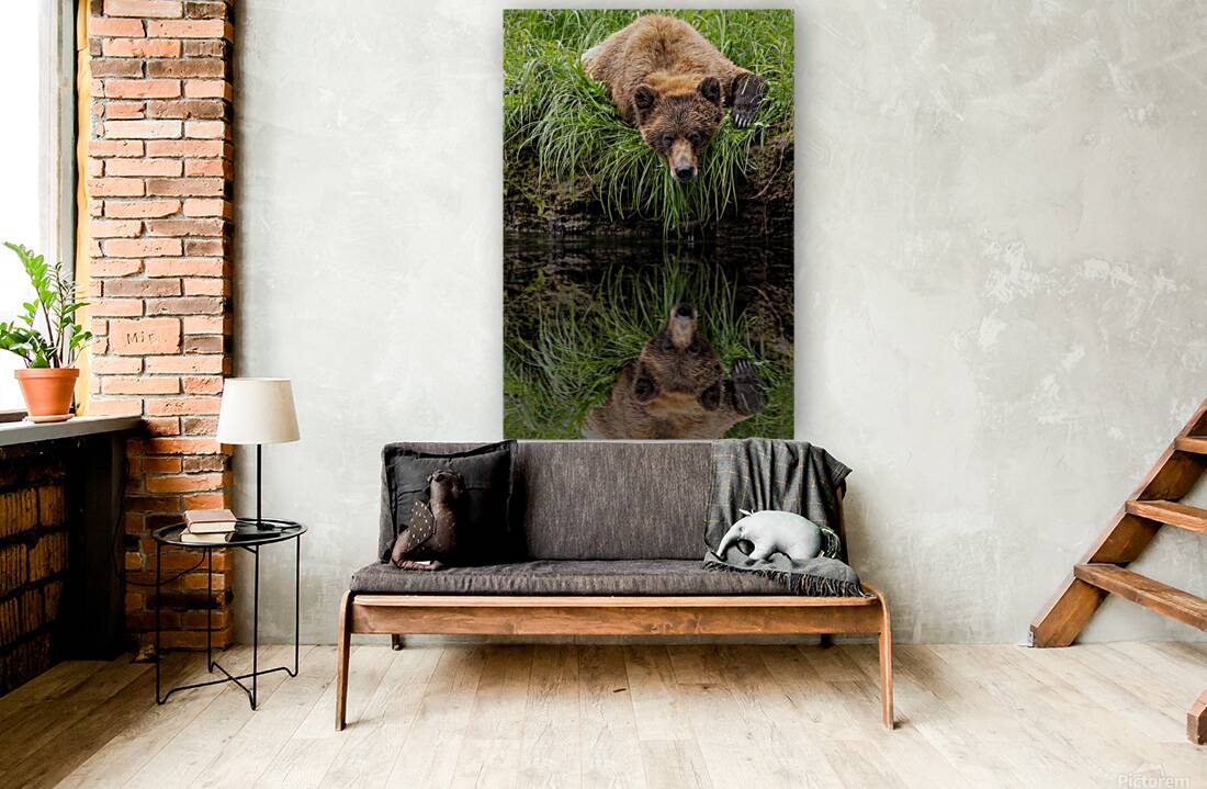 Jacquie Matechuk Reproduction